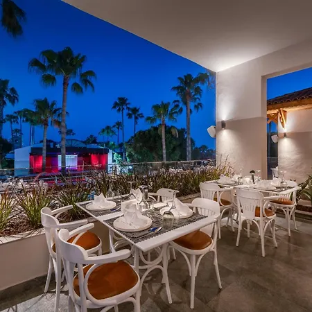 Trendy Palm 5* Side